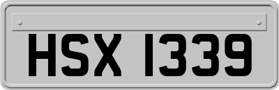 HSX1339
