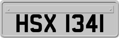 HSX1341