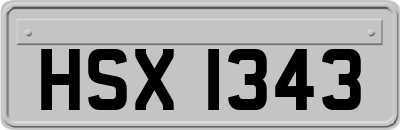 HSX1343