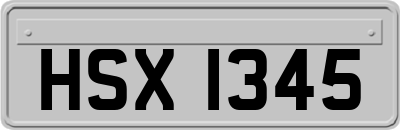 HSX1345