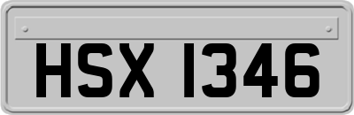 HSX1346