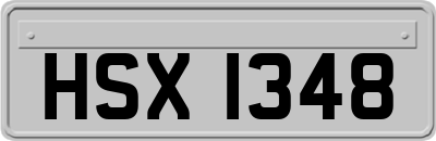 HSX1348