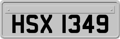 HSX1349