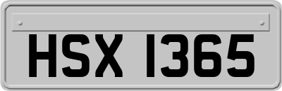 HSX1365