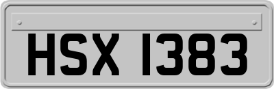 HSX1383
