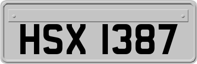 HSX1387