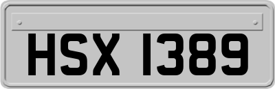 HSX1389