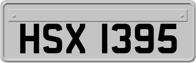 HSX1395