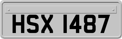 HSX1487