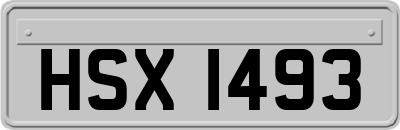 HSX1493