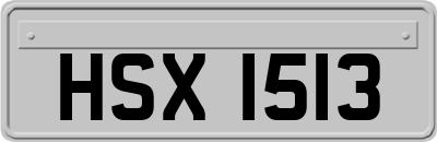 HSX1513
