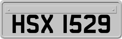 HSX1529