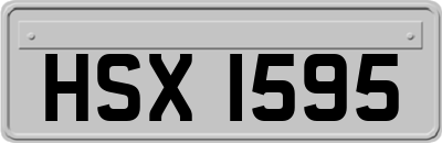 HSX1595