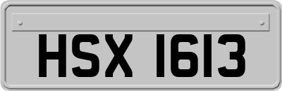 HSX1613