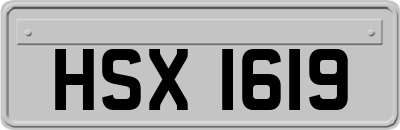 HSX1619