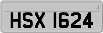 HSX1624