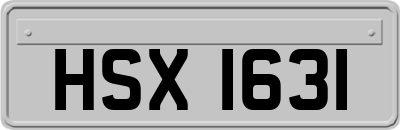 HSX1631