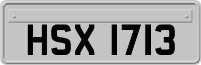 HSX1713