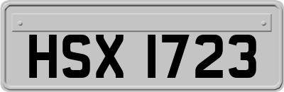 HSX1723