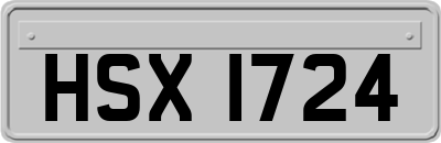 HSX1724
