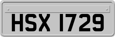HSX1729