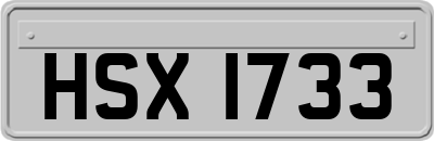 HSX1733