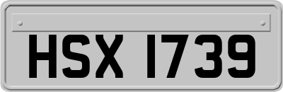 HSX1739