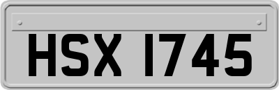 HSX1745