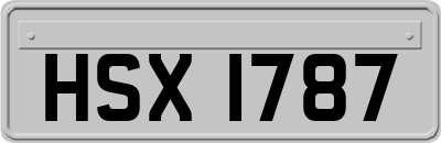 HSX1787