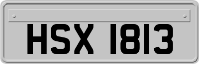 HSX1813