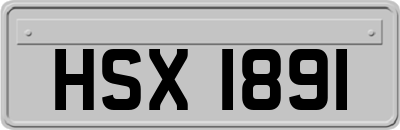 HSX1891