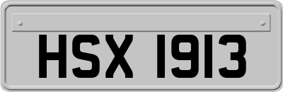 HSX1913