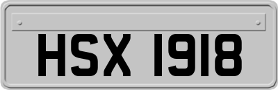 HSX1918