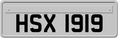 HSX1919