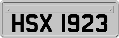 HSX1923