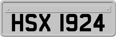 HSX1924
