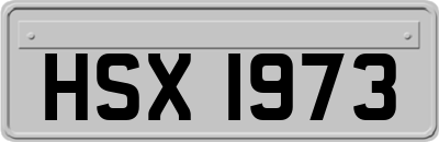 HSX1973