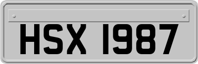 HSX1987