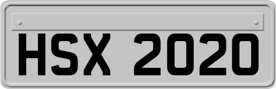 HSX2020