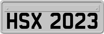 HSX2023