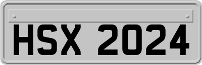 HSX2024