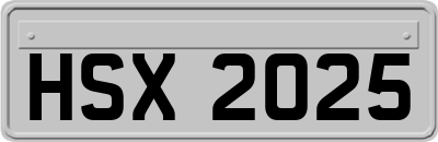HSX2025