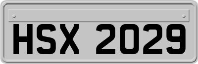 HSX2029