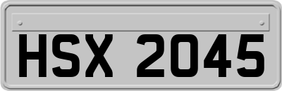 HSX2045