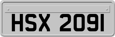 HSX2091