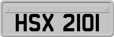 HSX2101