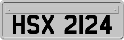 HSX2124