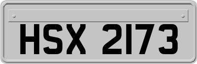 HSX2173
