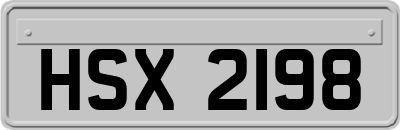 HSX2198