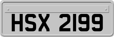 HSX2199